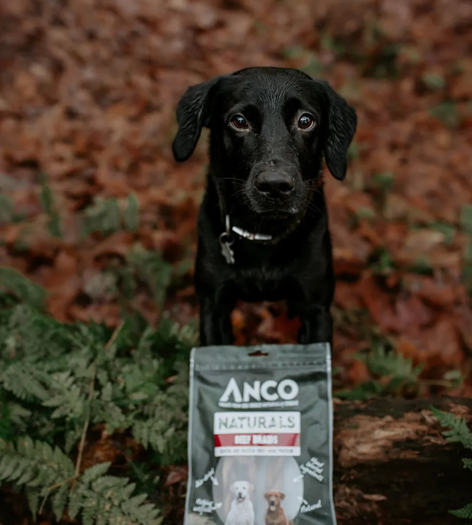 Anco Beef Braid Pack Dog Chew