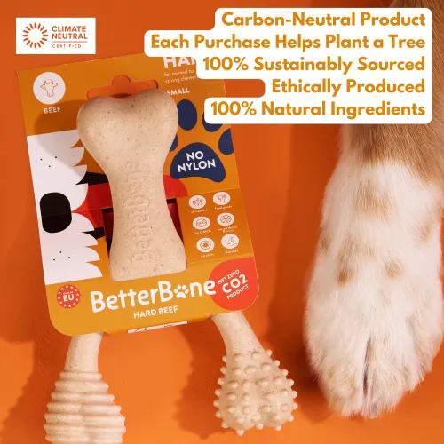 BetterBone Hard Density Classic Flavored Dental Chew Toy For Dogs