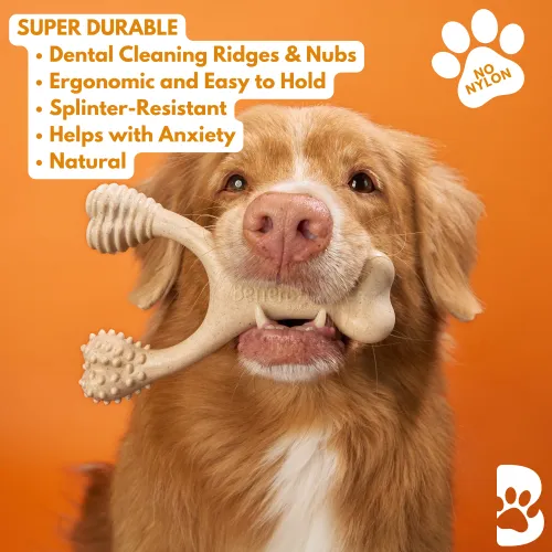 BetterBone Hard Density Classic Flavored Dental Chew Toy For Dogs