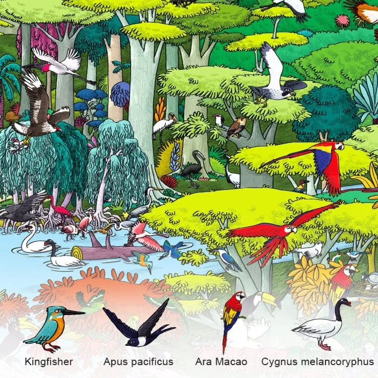 Discovery Puzzle Big Animal Small Animal (Birds 60p)