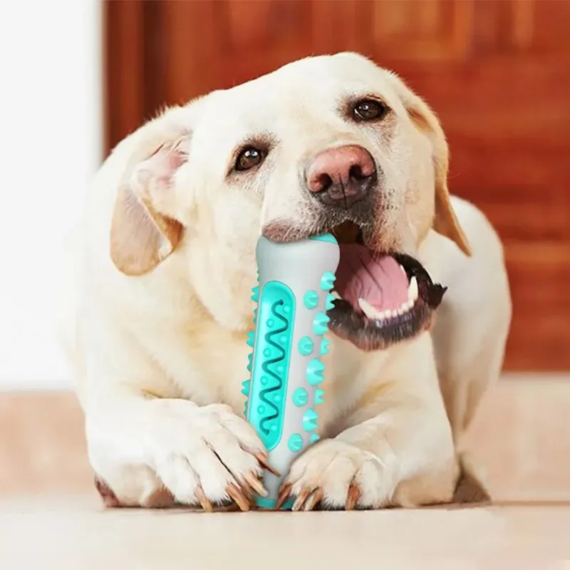 Dog Teething Stick – Chewable Dental Care Toy for Teeth Cleaning and Oral Health