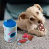 Ethical Pet Treat Jar Puzzle Dog Toy