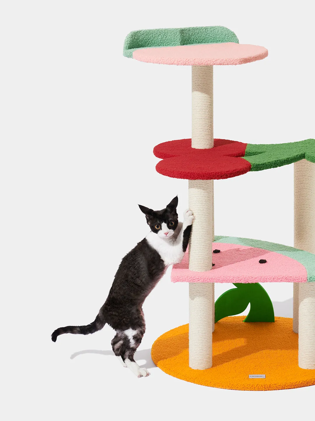 Fruit Frenzy Cat Climber