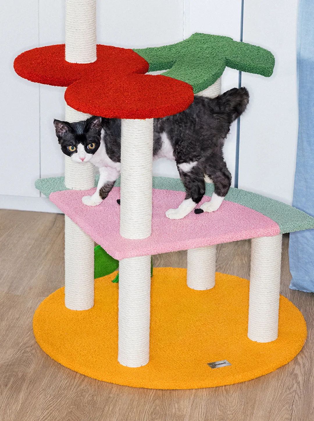 Fruit Frenzy Cat Climber