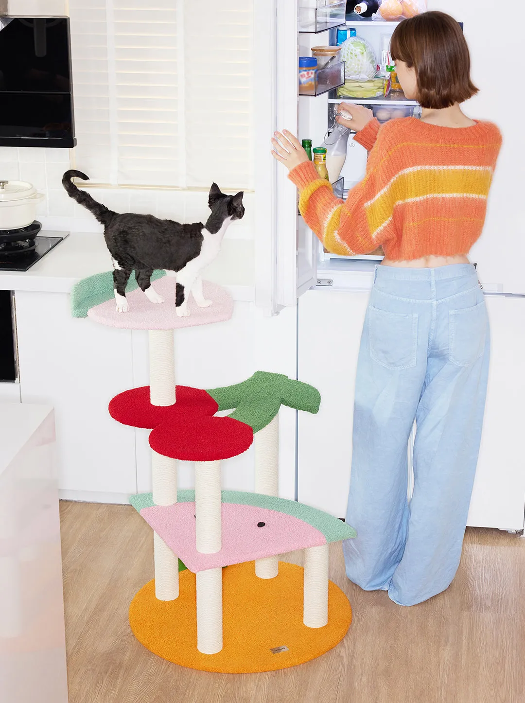 Fruit Frenzy Cat Climber