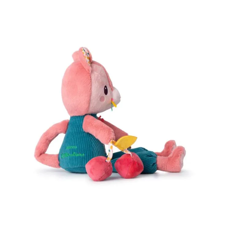 Jeanne Multi-activity cat First Toy