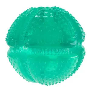 Kong Dental Squeezz Ball Chew Toy For Dogs (Medium)