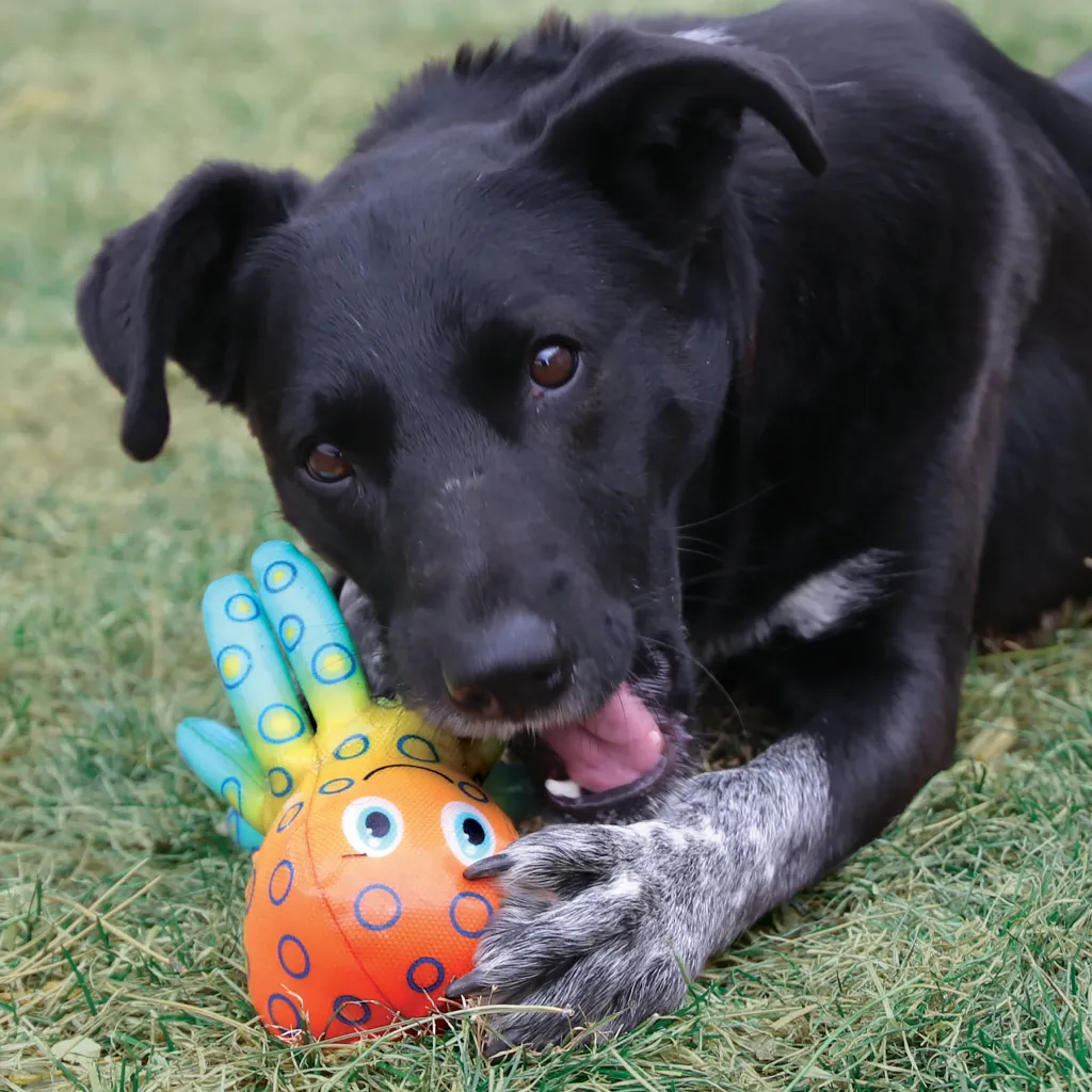 Kong Shieldz Tropics Frog Toy For Dogs