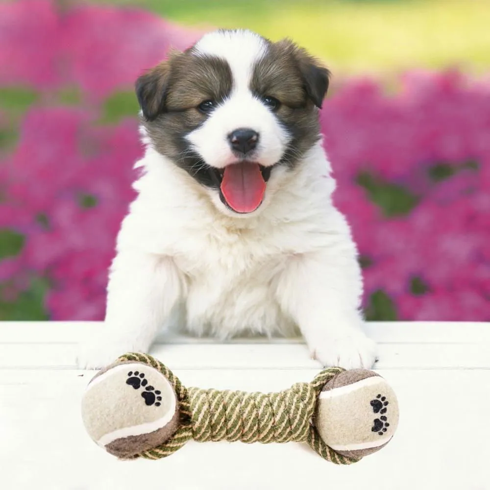 LovelyRLovely Pet Dog's Interactive Cotton Rope Toy