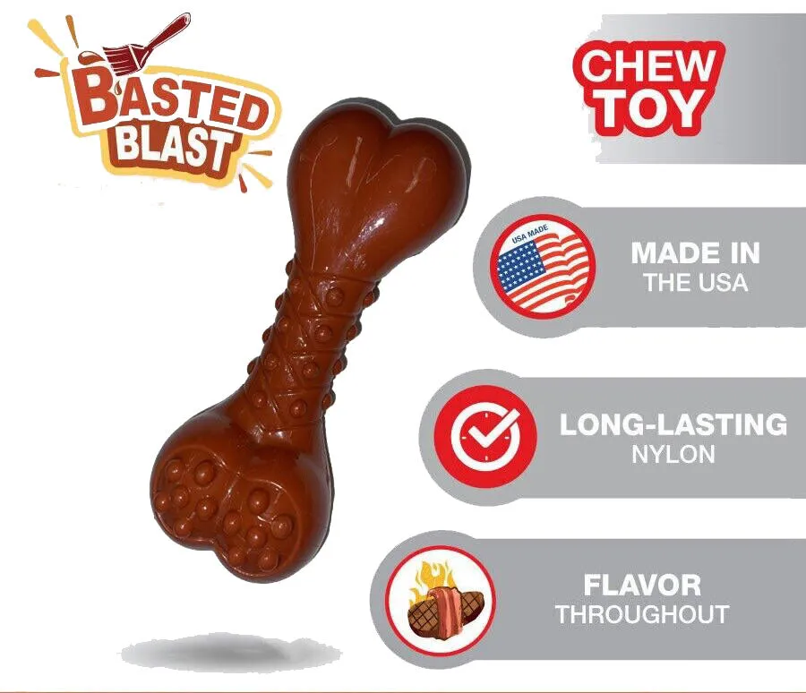 Nylabon Power Chew Basted Blast Dog Toys durable Bacon Flavored 5" x 2" (3 Pack)