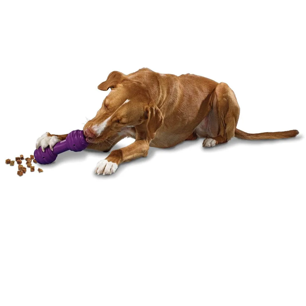 PetSafe Busy Buddy Chuckle Treat Dispenser Dog Toy, Medium/Large