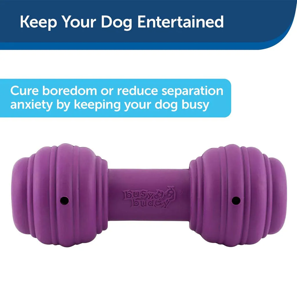 PetSafe Busy Buddy Chuckle Treat Dispenser Dog Toy, Medium/Large