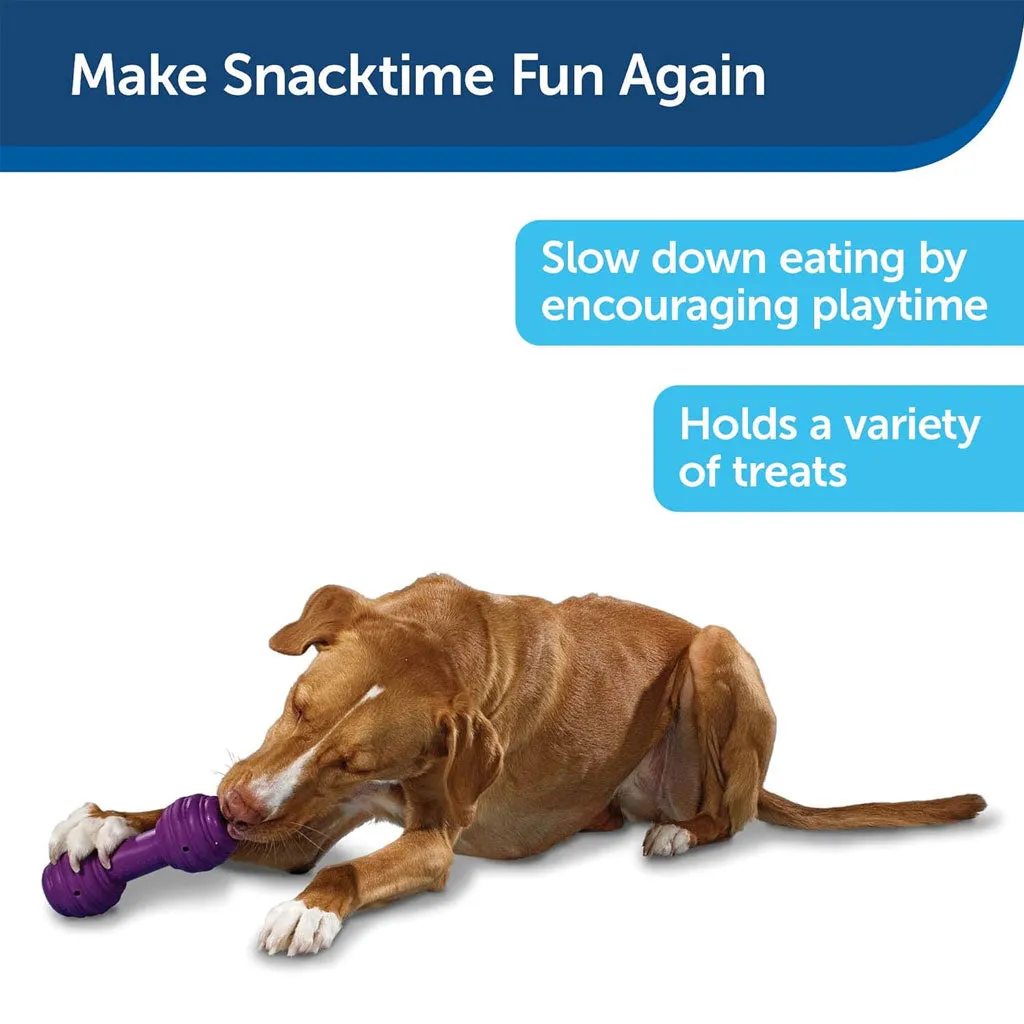 PetSafe Busy Buddy Chuckle Treat Dispenser Dog Toy, Medium/Large