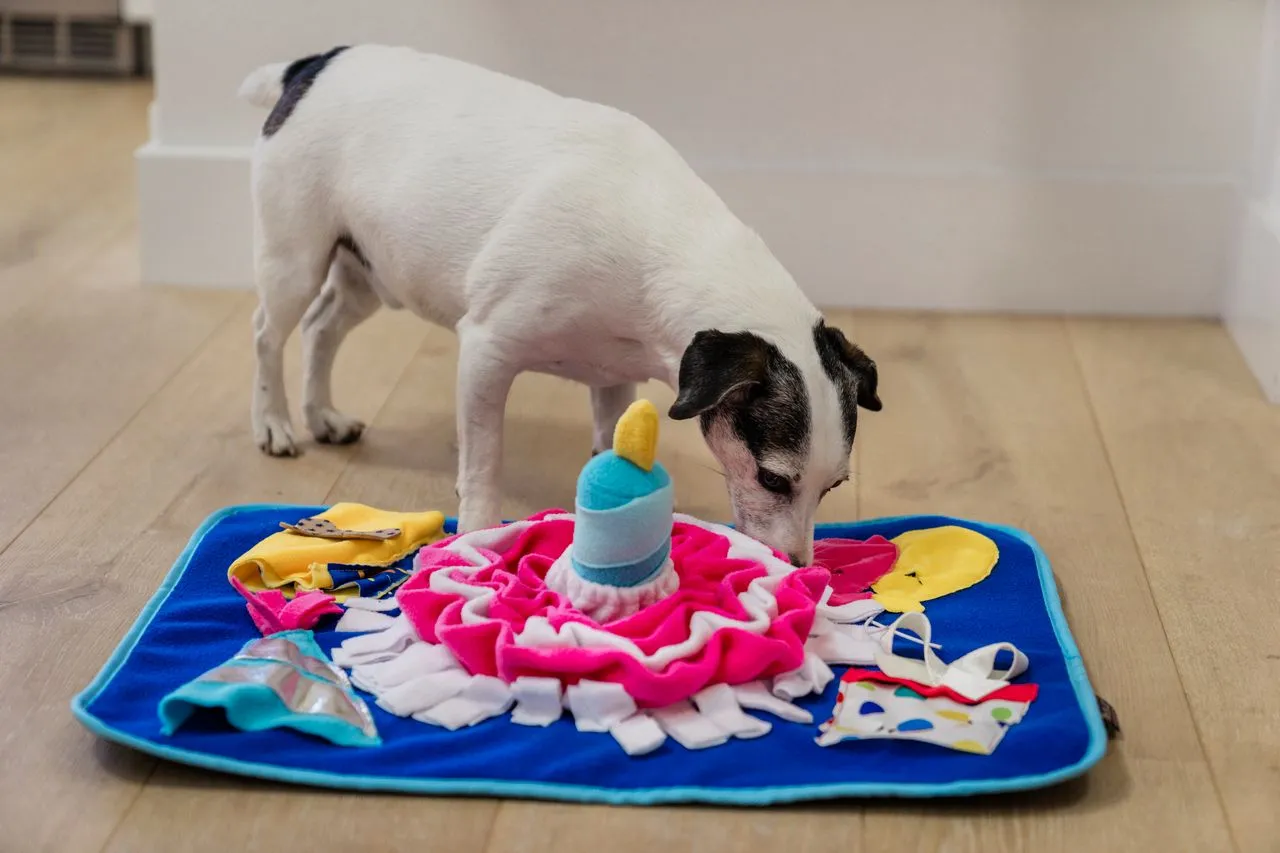 Snuffle Mat Toy for Dogs and Cats, Woof-day Celebration