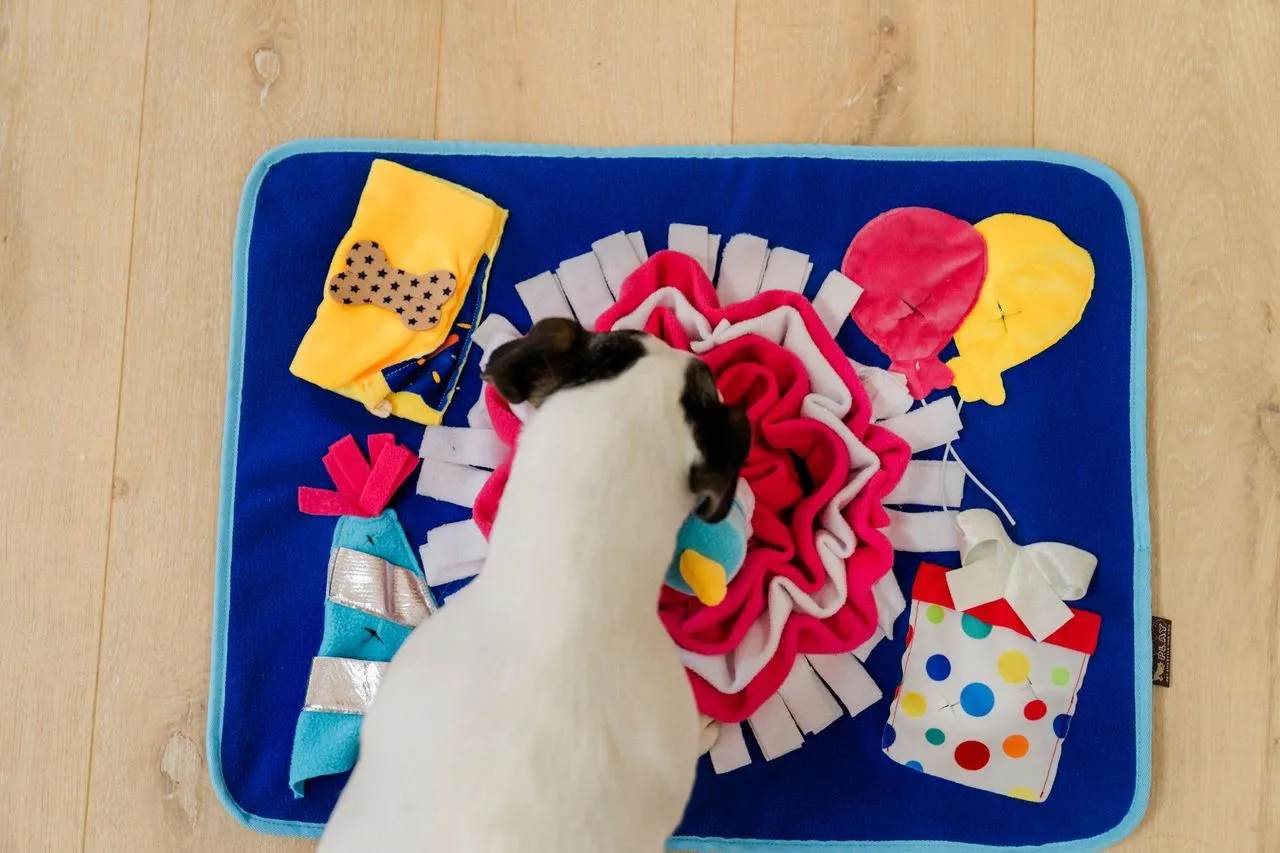 Snuffle Mat Toy for Dogs and Cats, Woof-day Celebration