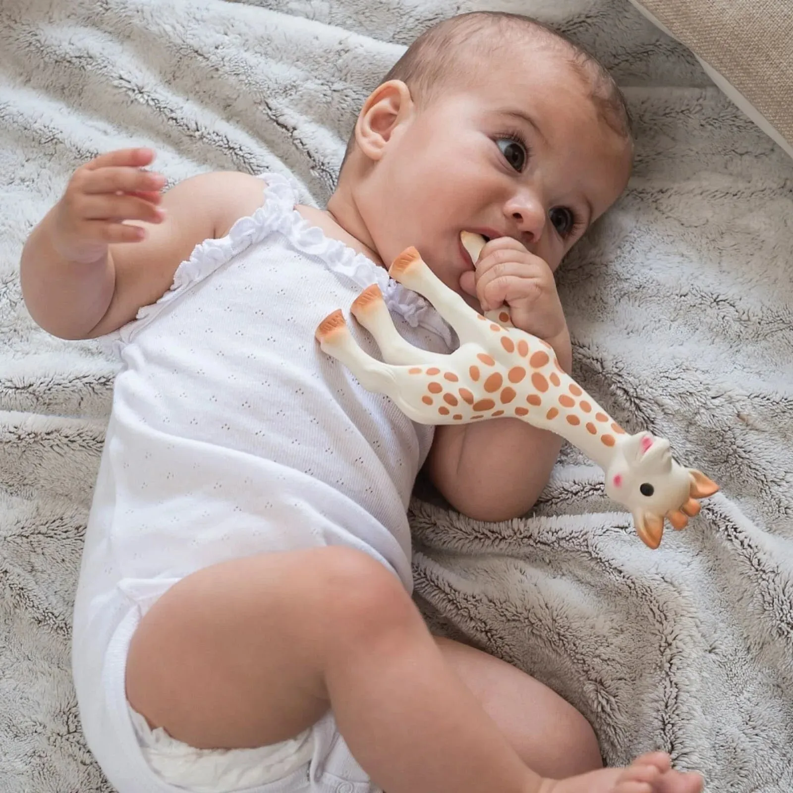 Sophie La Girafe Teether 12  months