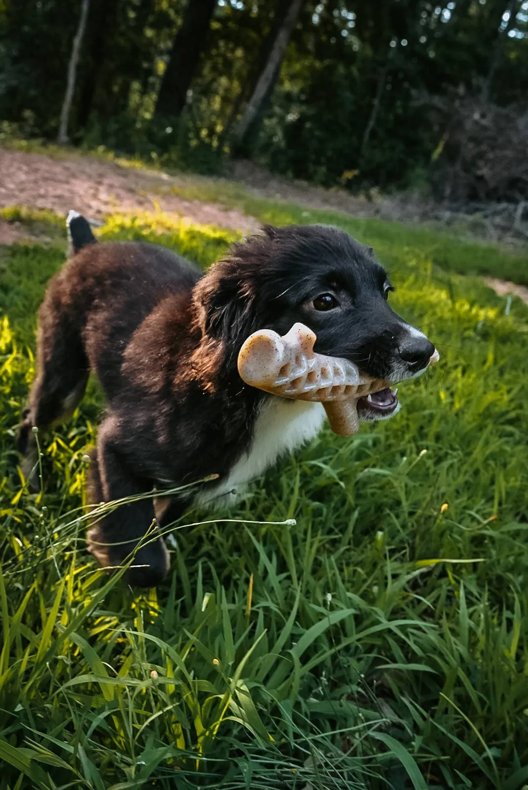 Spunky Pup - Hard Chew Nylon Antlers - Made in the USA - The Antler - Ram