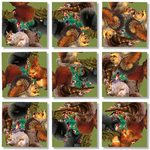 Squirrel Puzzle