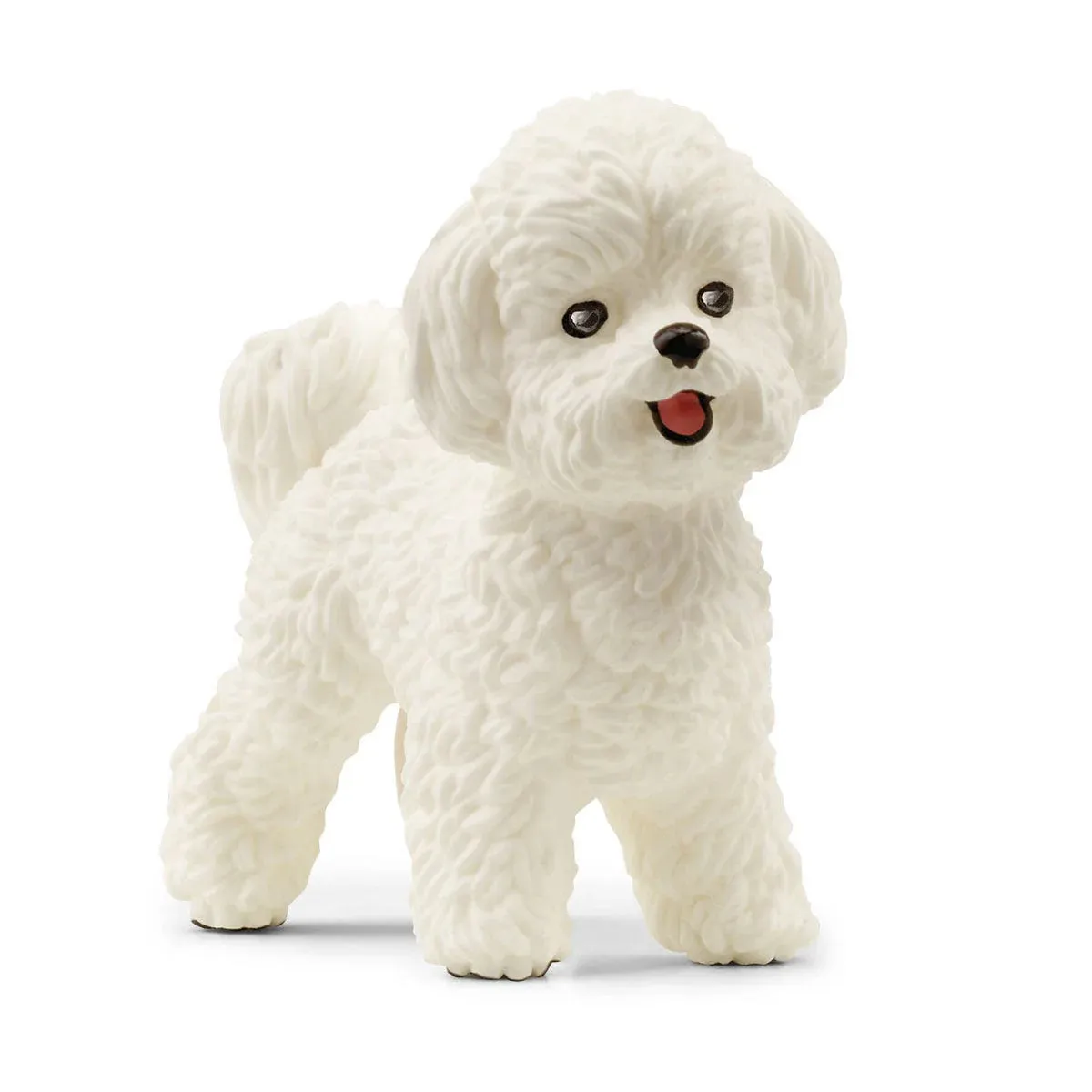 Toy | Bichon Frise