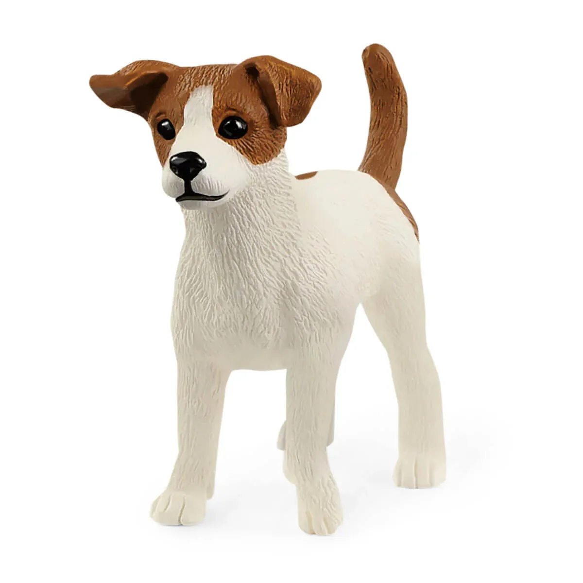 Toy | Jack Russell Terrier