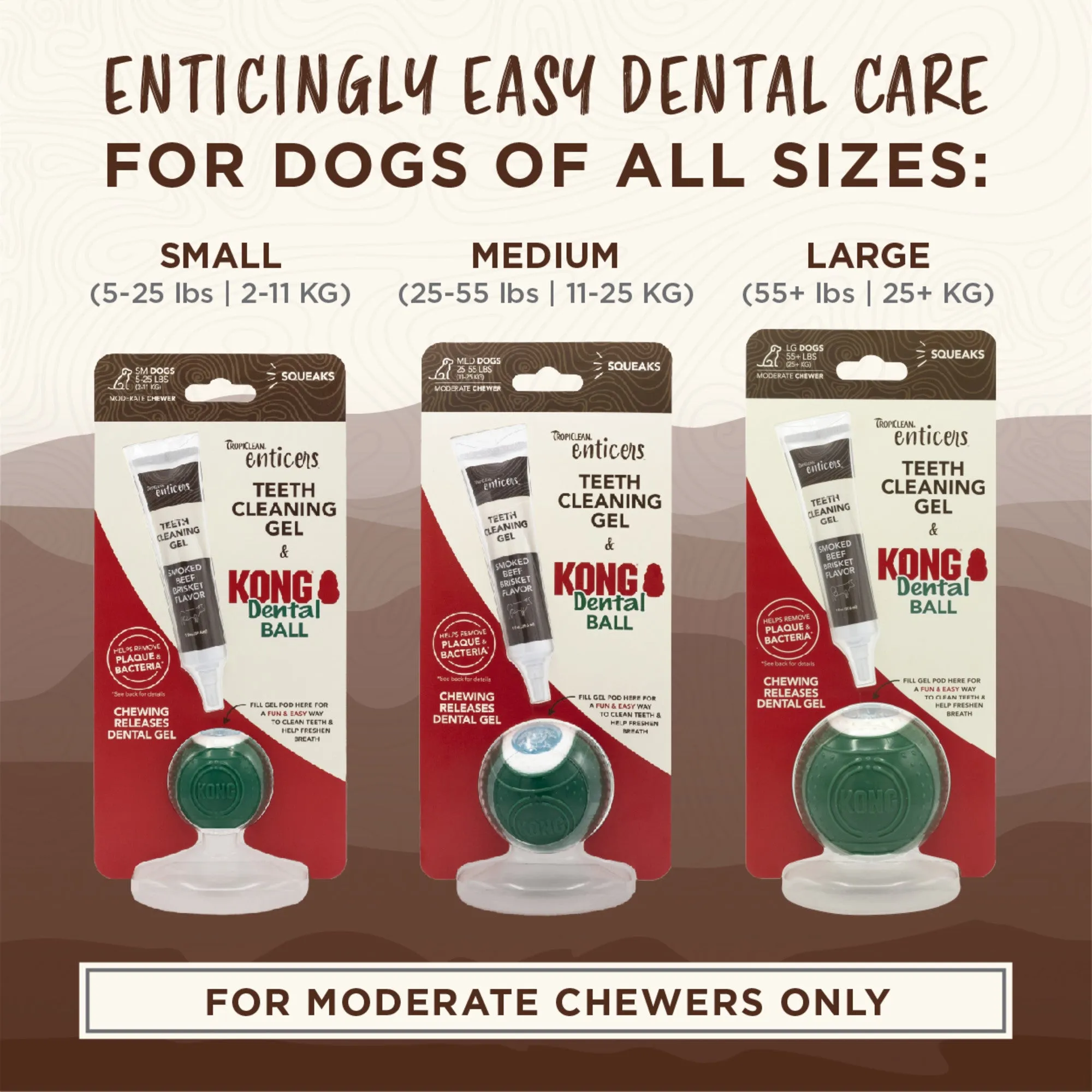 Tropiclean Enticers Teeth Cleaning Gel & KONG Dental Ball Dog Toy