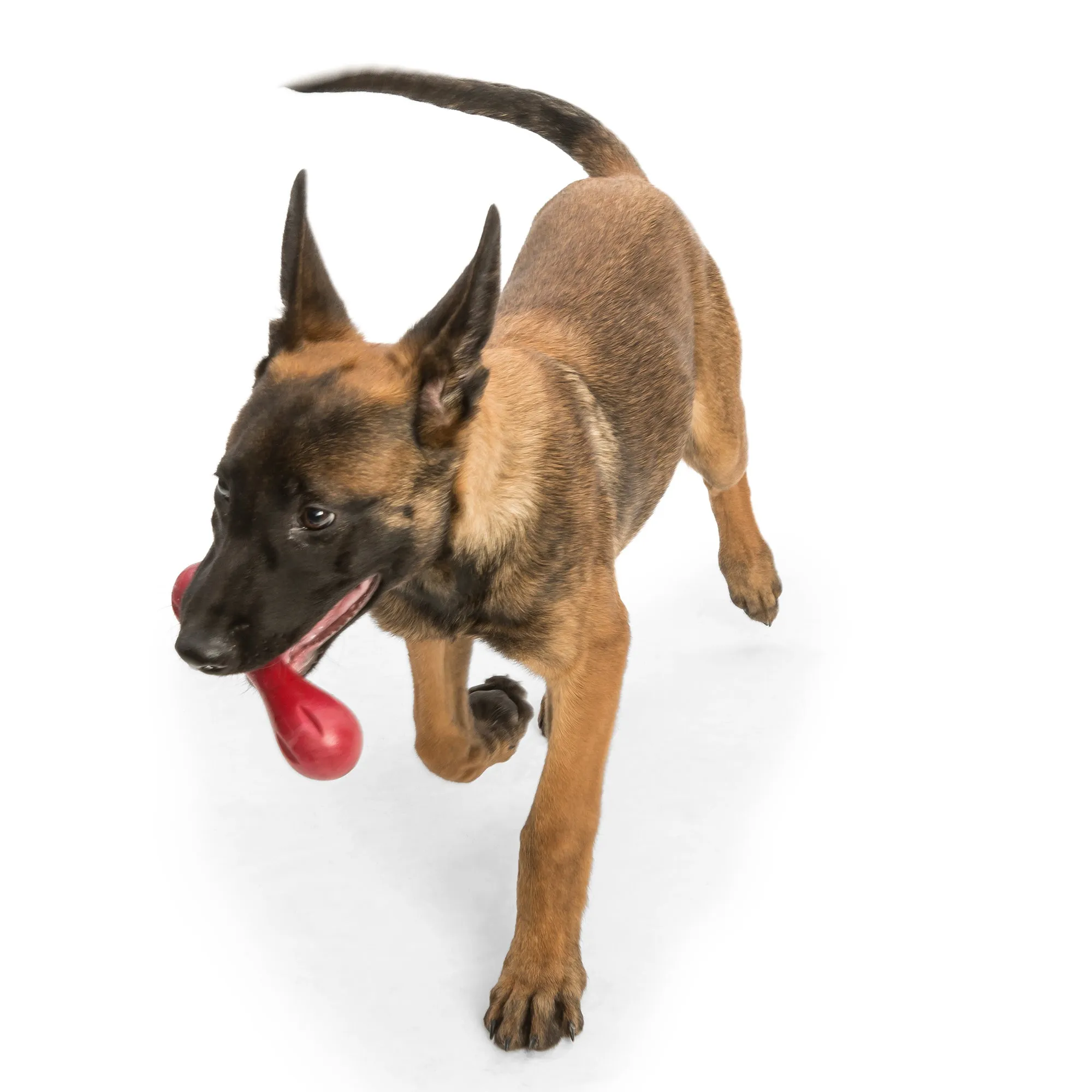 West Paw Hurley Dog Bone Toy