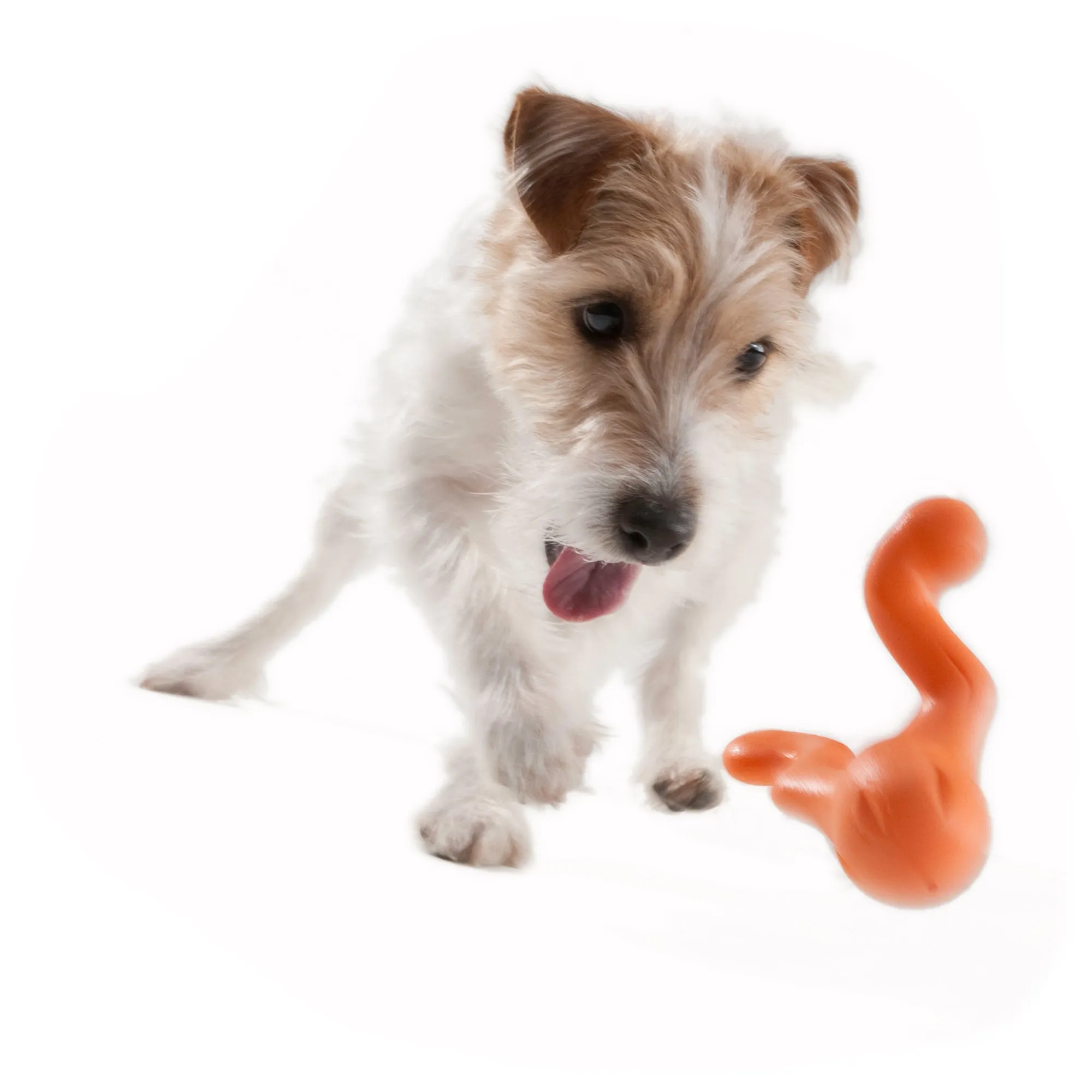 West Paw Tizzi Dog Toy