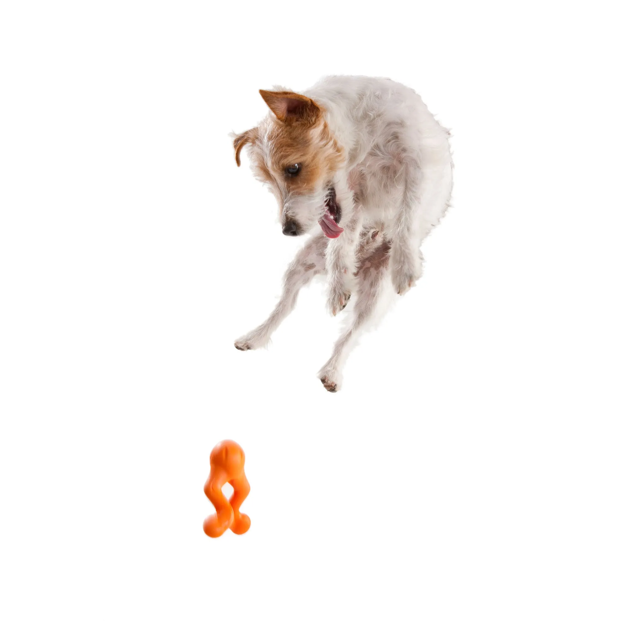 West Paw Tizzi Dog Toy