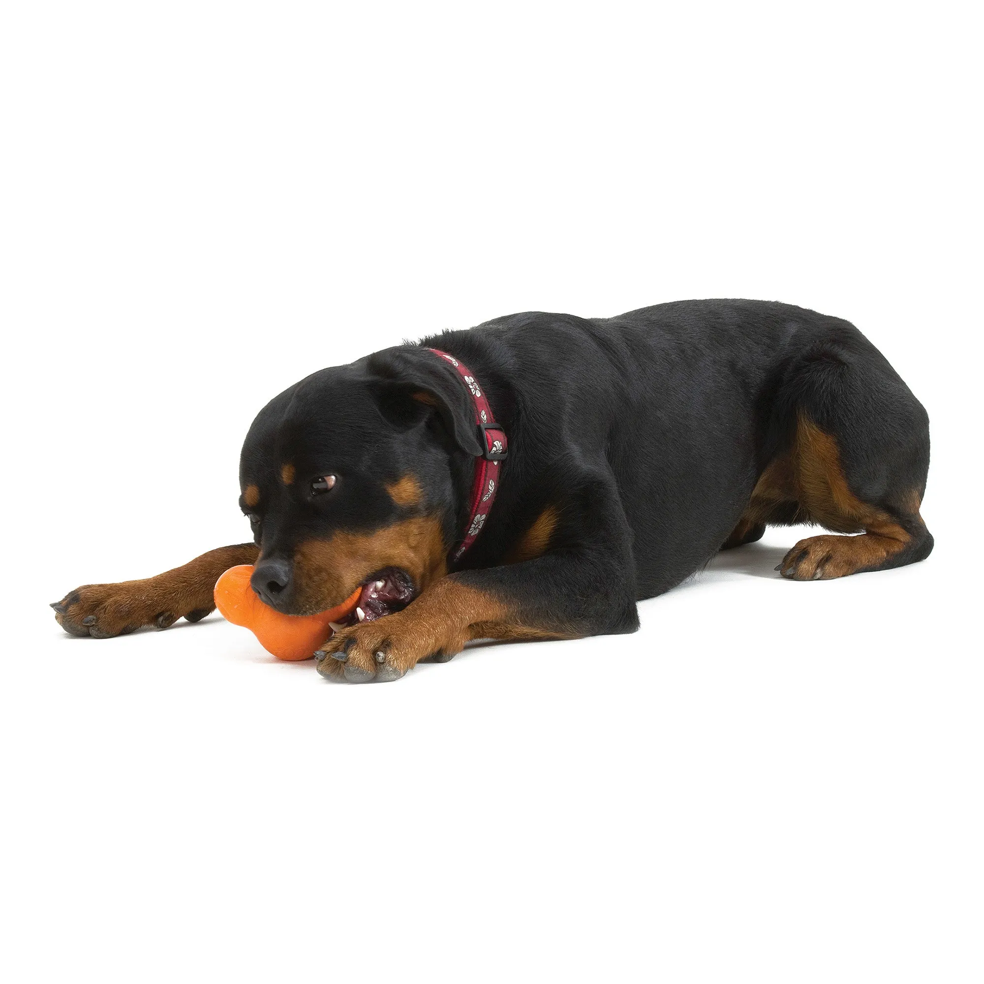 West Paw Tux Treat Toy