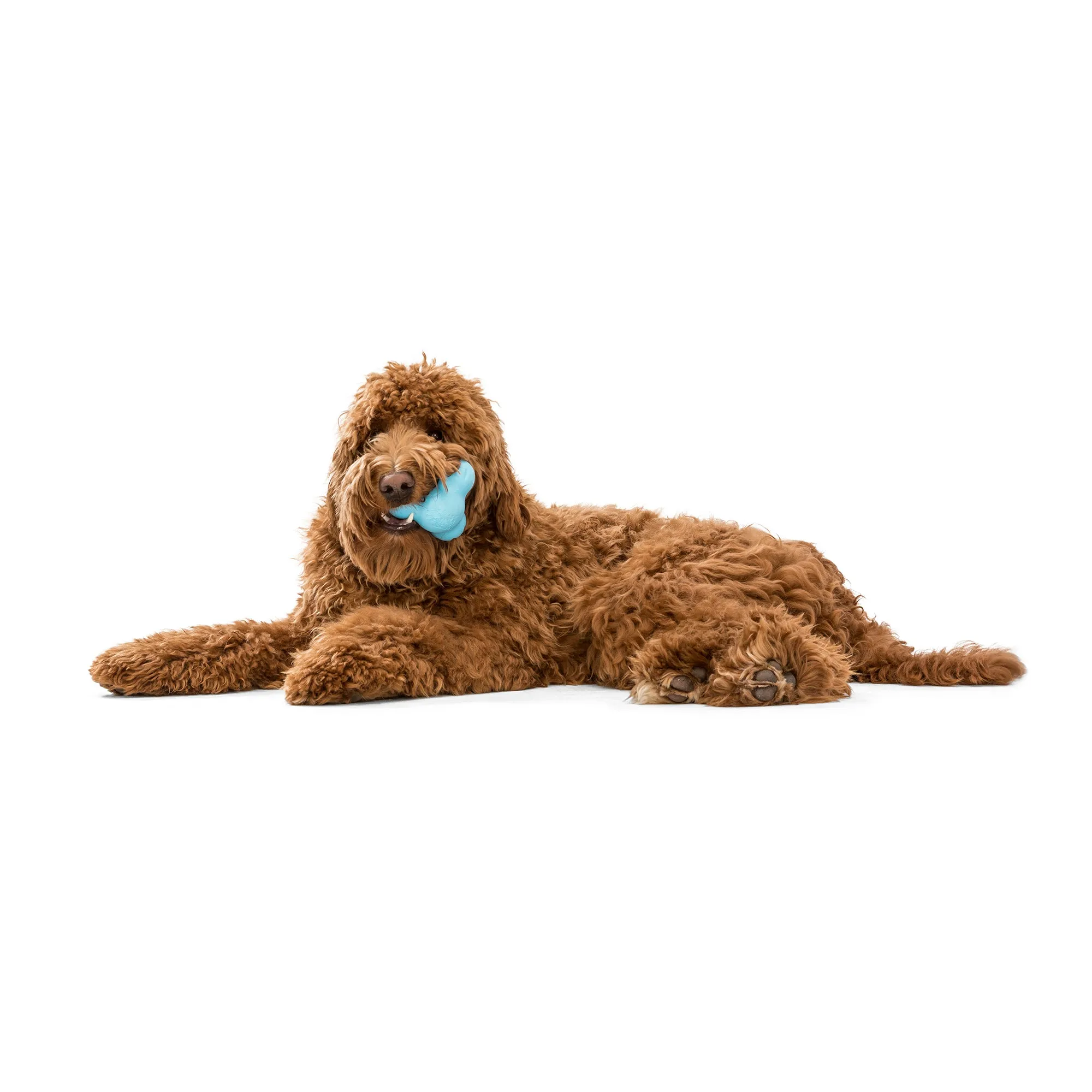 West Paw Tux Treat Toy